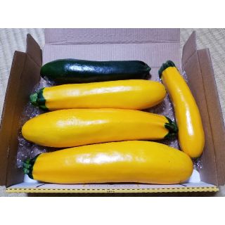 ズッキーニ(秋初物)(野菜)