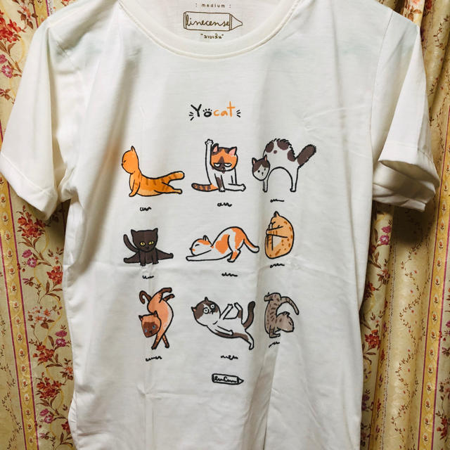 レディースTシャツ レディースのトップス(Tシャツ(半袖/袖なし))の商品写真