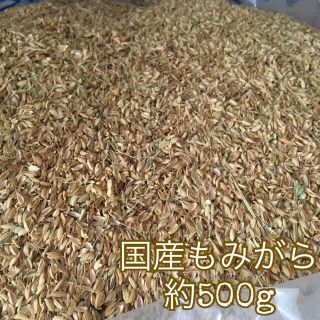 国産もみがら約500g＊2019年三重県産＊畑の土壌改良やマルチ代わりにも＊(米/穀物)