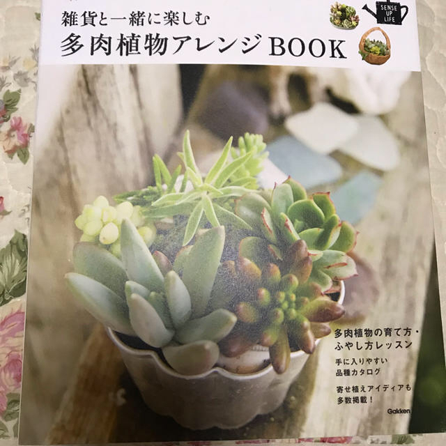 雑貨と一緒に楽しむ多肉植物アレンジBOOK ハンドメイドのフラワー/ガーデン(その他)の商品写真