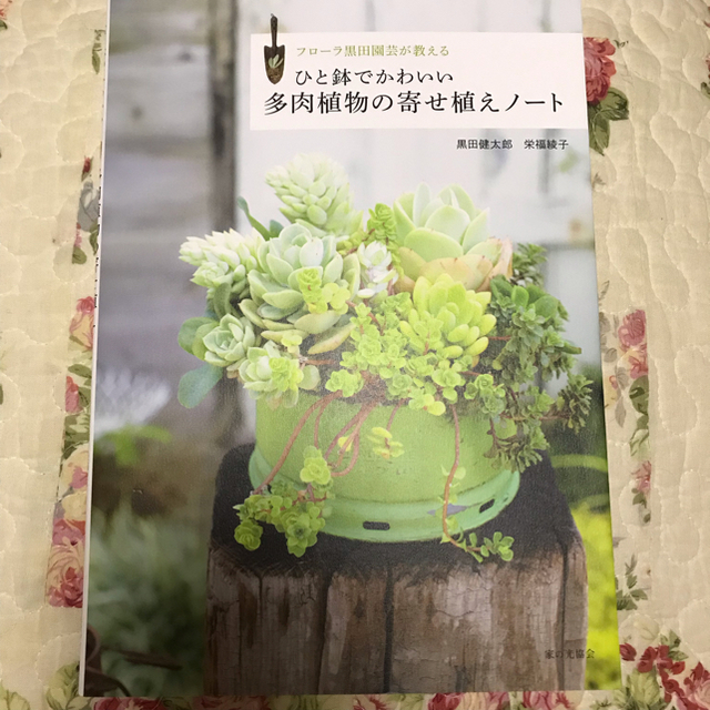 雑貨と一緒に楽しむ多肉植物アレンジBOOK ハンドメイドのフラワー/ガーデン(その他)の商品写真
