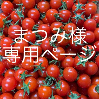 【まつみ様・専用ページ】(野菜)