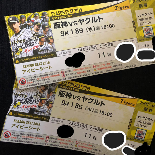 阪神タイガース(ハンシンタイガース)の阪神vsヤクルト 9/18(水)甲子園 アイビーシートペアチケット チケットのスポーツ(野球)の商品写真