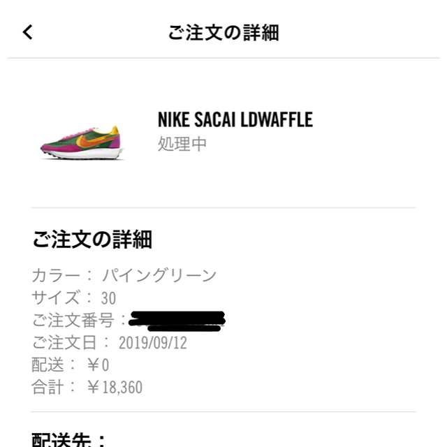 30cm Nike Sacai LDWaffle LDワッフル