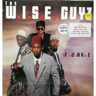 【廃盤LP】The W.I.S.E. Guyz / eF yoU eN Kay (その他)