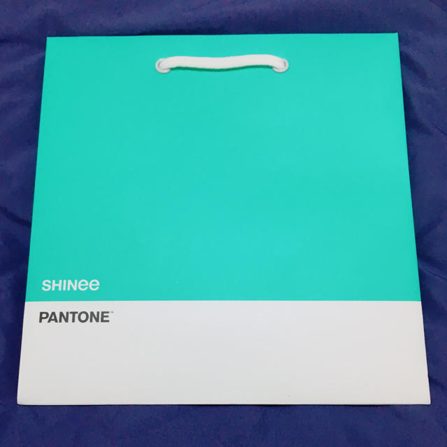 shinee pantone shopping bag 2枚セット エンタメ/ホビーのタレントグッズ(アイドルグッズ)の商品写真