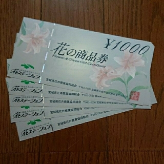 花ステーション 花の商品券5000円分の通販 ラクマ