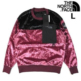 ザノースフェイス(THE NORTH FACE)の売切!ノースフェイスBLACK SERIES プルオーバー赤(L)180814(その他)