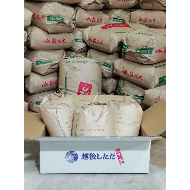 食品/飲料/酒新米！新潟産コシヒカリ　玄米30kg[無洗米OK、精米OK]