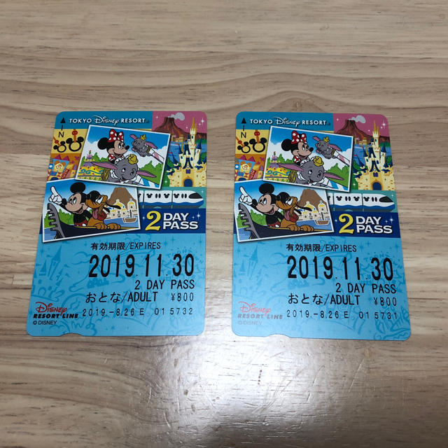 Disney(ディズニー)のディズニーリゾートライン2DAY PASS チケットの施設利用券(遊園地/テーマパーク)の商品写真