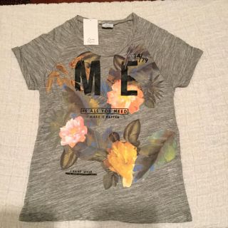 ザラ(ZARA)のZARA ザラ プリント Tシャツ グレー M(Tシャツ(半袖/袖なし))