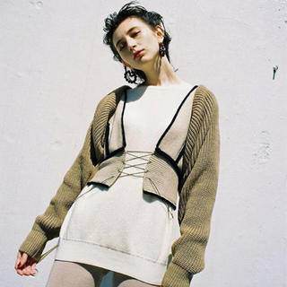 ビューティアンドユースユナイテッドアローズ(BEAUTY&YOUTH UNITED ARROWS)のtan ニットビスチェ(ベスト/ジレ)