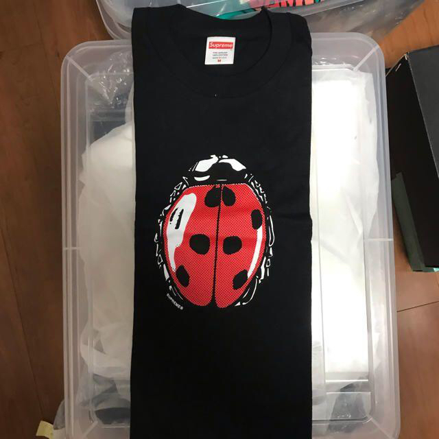 M)Supreme Ladybug Teeシュプリームてんとう虫Tシャツ黒
