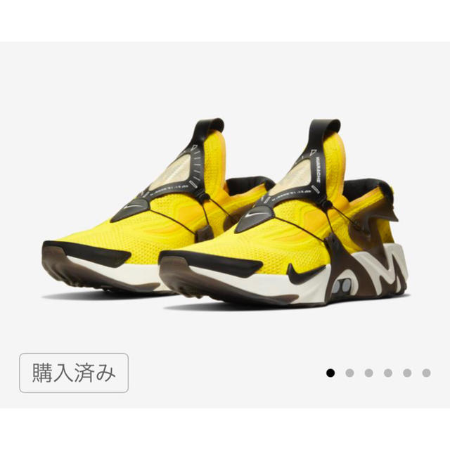 NIKE(ナイキ)の【28.5cm】NIKE アダプト ハラチ メンズの靴/シューズ(スニーカー)の商品写真