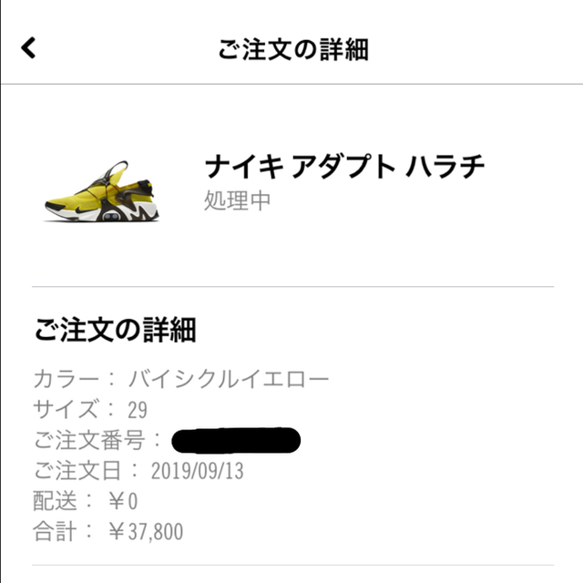 NIKE(ナイキ)の送料込 国内正規 29cm NIKE ADAPT HUARACHE YELLOW メンズの靴/シューズ(スニーカー)の商品写真