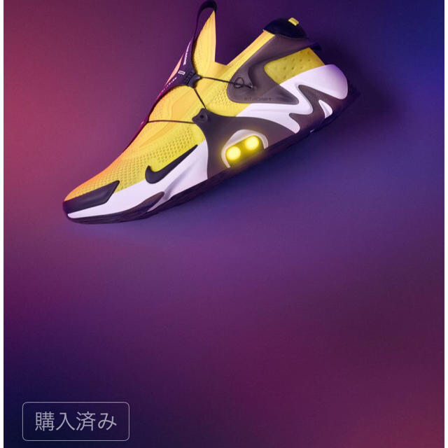 NIKE アダプト ハラチ 27 - www.sorbillomenu.com