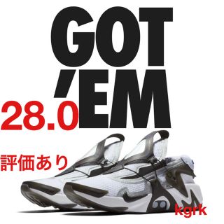 ナイキ(NIKE)のNIKE アダプト ハラチ 28.0(スニーカー)