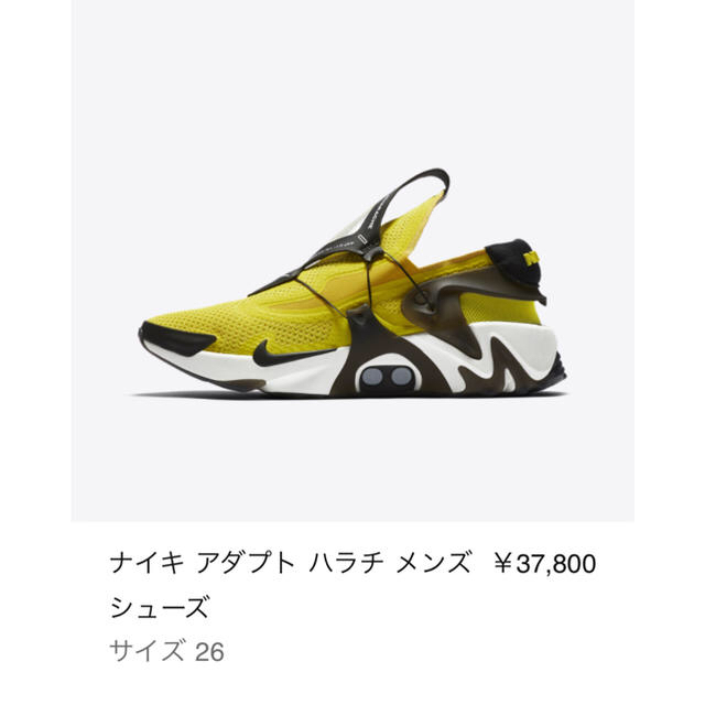 NIKE(ナイキ)のNIKE アダプト ハラチ メンズの靴/シューズ(スニーカー)の商品写真