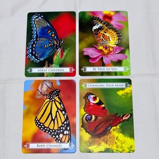 バタフライオラクルカード（Butterfly Oracle Cards）の通販 by 花葉 ...