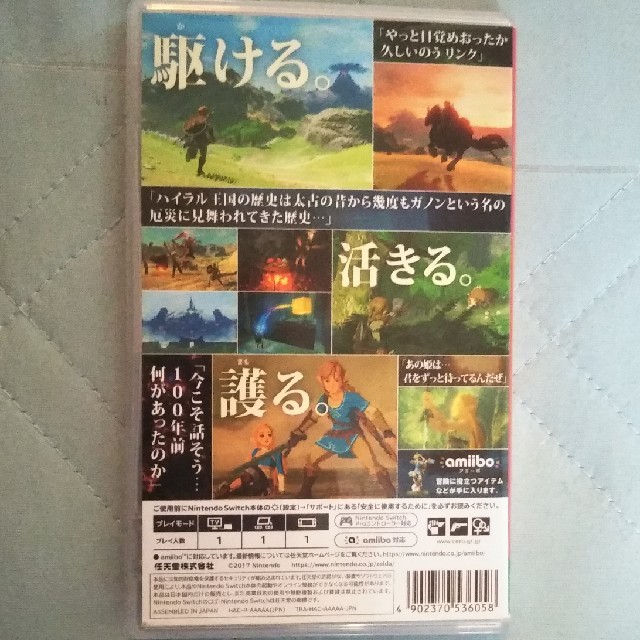 Nintendo Switch(ニンテンドースイッチ)のゼルダの伝説　ブレス オブ ザ ワイルド Nintendo Switch版 エンタメ/ホビーのゲームソフト/ゲーム機本体(家庭用ゲームソフト)の商品写真