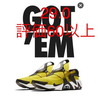 ナイキ(NIKE)のNIKE アダプト ハラチ (スニーカー)