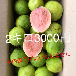 無農薬グァバ徳之島産2キロ3000円(フルーツ)