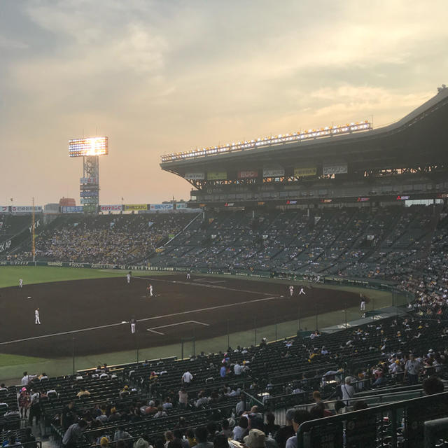 阪神タイガース(ハンシンタイガース)の9/30(月)阪神vs中日 3塁ブリーズシート1枚 チケットのスポーツ(野球)の商品写真