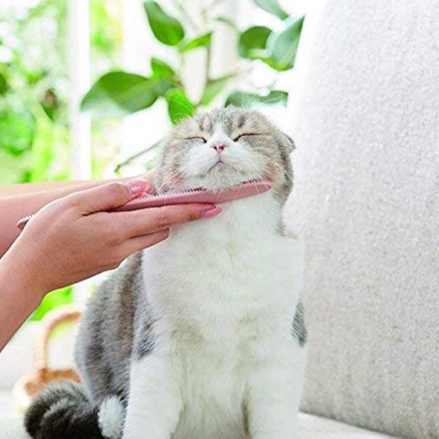 大人気 品薄 予約待ち 猫が喜ぶねこじゃすり♪ その他のペット用品(猫)の商品写真