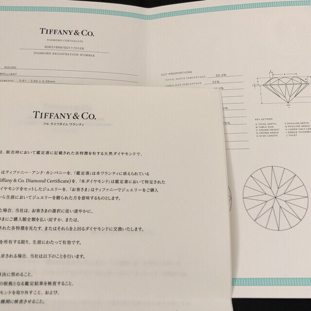 Tiffany & Co.(ティファニー)のTiffany バイザヤード  ネックレス レディースのアクセサリー(ネックレス)の商品写真