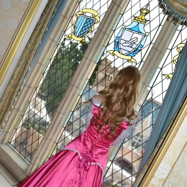 【総額35,000円】オーロラ姫 ドレス（ティアラ、ウィッグ込み）