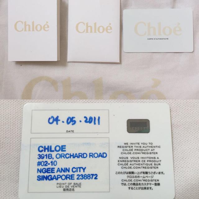 Chloe(クロエ)のクロエ　パイソン　エルシー2wayバッグ レディースのバッグ(ハンドバッグ)の商品写真