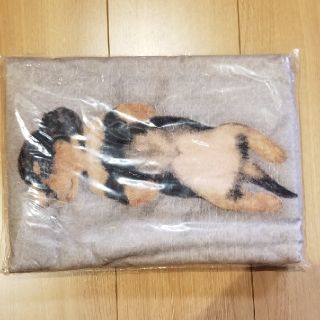 フェリシモ(FELISSIMO)のフェリシモ　子犬　バスタオル(タオル/バス用品)