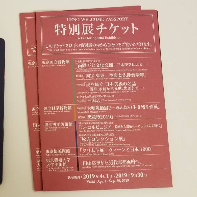 りこ様専用　上野ウェルカムパスポート特別展チケット チケットの施設利用券(美術館/博物館)の商品写真