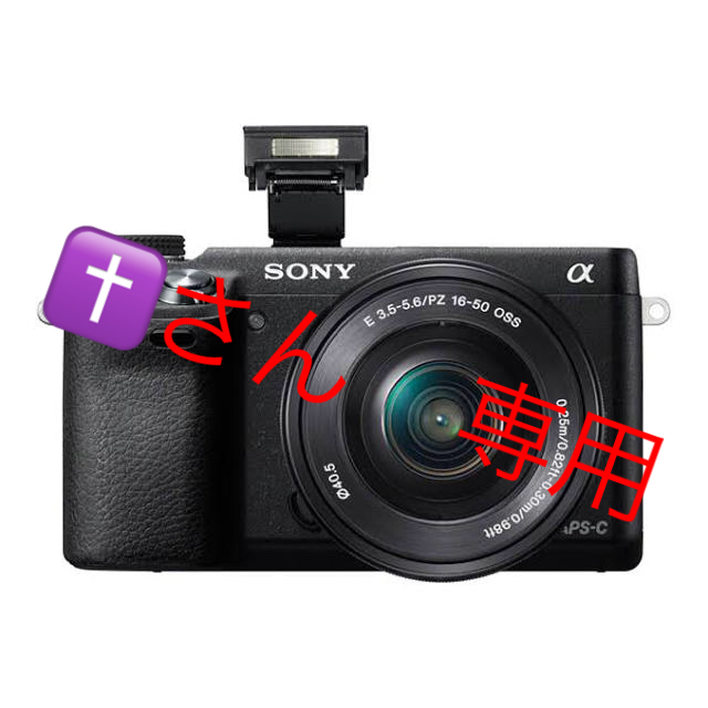 SONY(ソニー)のソニー SONY ミラーレス一眼 α NEX-6 ボディ スマホ/家電/カメラのカメラ(ミラーレス一眼)の商品写真