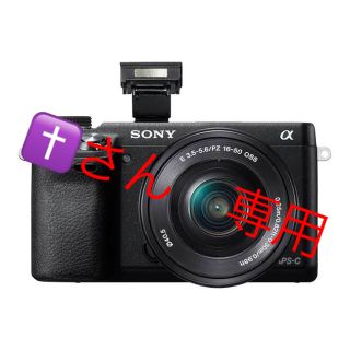 ソニー(SONY)のソニー SONY ミラーレス一眼 α NEX-6 ボディ(ミラーレス一眼)