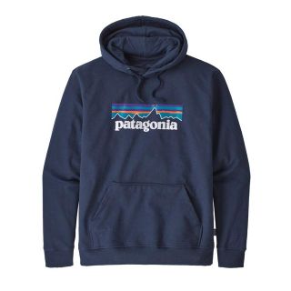 パタゴニア(patagonia)のpatagonia パタゴニア パーカー フーディ(パーカー)