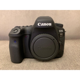 キヤノン(Canon)のCanon EOS 6D Mark2 ボディ(デジタル一眼)