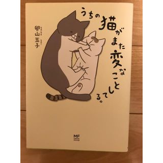 うちの猫がまた変なことしてる。(住まい/暮らし/子育て)