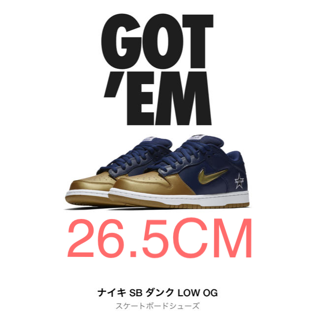 Supreme×NIKE DUNK LOW