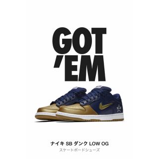 ナイキ(NIKE)のNIKE SUPREME SB ダンク LOW 25cm(スニーカー)