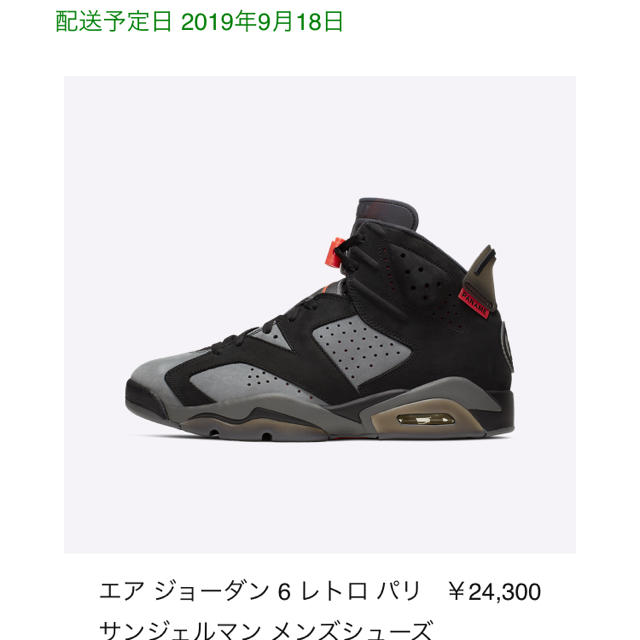 AIR JORDAN 6スニーカー