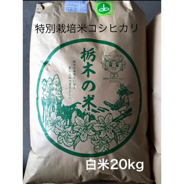 新米☺︎栃木県産コシヒカリ【特別栽培米】白米20kg　米/穀物