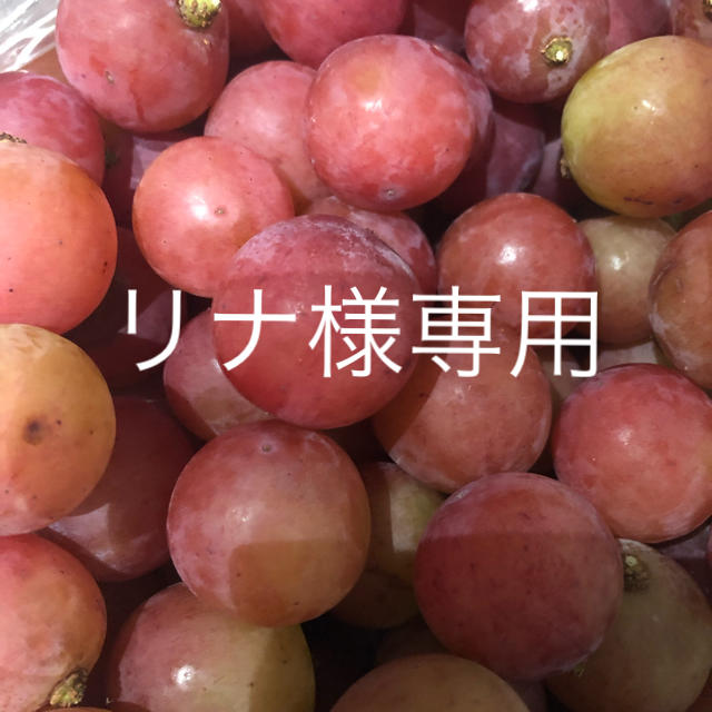 山梨県勝沼産 ゴルビー  1kg   食品/飲料/酒の食品(フルーツ)の商品写真