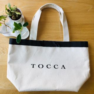 トッカ(TOCCA)のTOCCA／キャンバストートバック(トートバッグ)