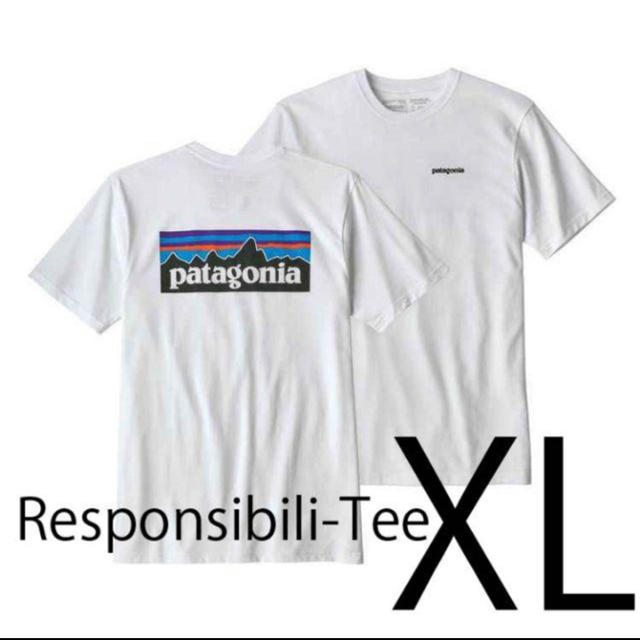 patagonia(パタゴニア)の【新品】Patagonia Tシャツ メンズのトップス(Tシャツ/カットソー(半袖/袖なし))の商品写真