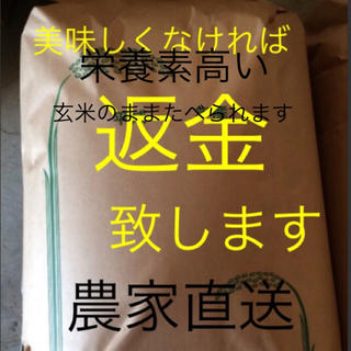 一等米 渡部家の新米こしひかり 10㎏玄米 有機栽培(米/穀物)