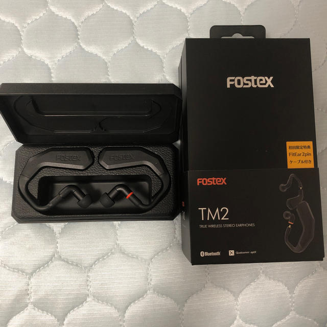 FOSTEX TM2 FitEar 2pin付属　美品