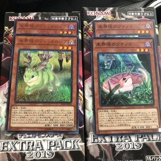 ユウギオウ(遊戯王)の遊戯王 未界域セット(シングルカード)