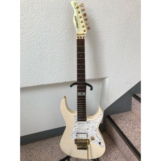 フェルナンデス(Fernandes)の期間限定お値引き【希少オススメ】ラルクKENギター｛ソフトケース付｝(エレキギター)