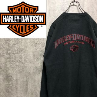 ハーレーダビッドソン ヘンリーネック メンズのTシャツ・カットソー